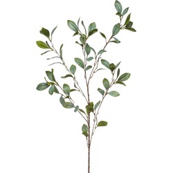 Emerald Kunstbloem Eucalyptus tak - 90 cm - groen - Kunstbloemen