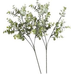 Kunstbloem/kunsttak Eucalyptus Cinera - 2x - 65 cm - Kunstbloemen