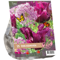 Urban Flowers Pink Diamonds per 15 bloembollen