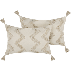 CERINTHE  - Sierkussen set van 2 - Beige - 40 x 60 cm - Katoen