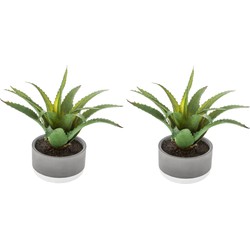 Set van 2x stuks atmosphera kunstplanten in pot van cement 22 cm - Kunstplanten