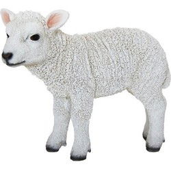 Dierenbeeldje Lammetje - staand - polystone - 21 x 26 x 10 cm - Beeldjes