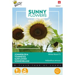Sunny Flowers, Sonnenblume Weißer Mond der Nacht Samen - Buzzy