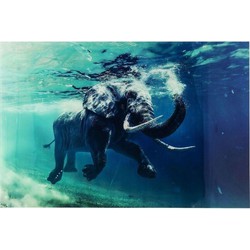 Kare Wandfoto Glass Swimming Elephant 100x80