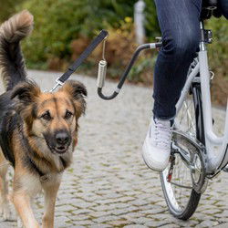 TRIXIE FIETSBEUGEL U-VORM M-XL