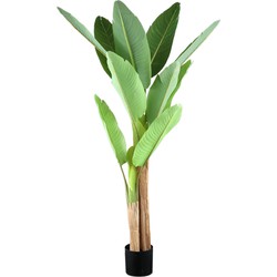 PTMD Kunstplant Bananen - 110x108x155 cm - Polyester - Groen