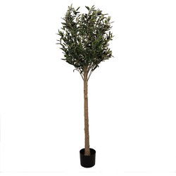 Clayre & Eef Kunst Olijfboom Groen Kunststof