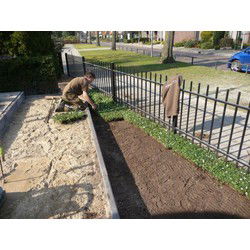 Plantenmat vasteplanten maagdenpalm Vinca Alba prijs per 1m2 cm Covergreen