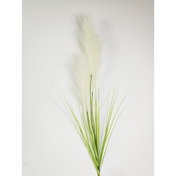 Pampas gras 80cm met blad creme - Buitengewoon de Boet