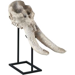Furnilux - Terra Wit Beige antiek poly schedel beeld
