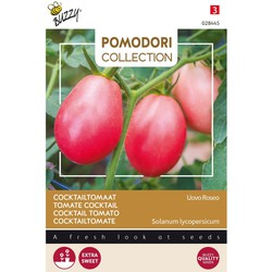 3 stuks - Pomodori uoco roseo thai egg