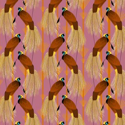 Patroon Behang - Roze Paradijs Vogel - 300x250cm - House of Fetch