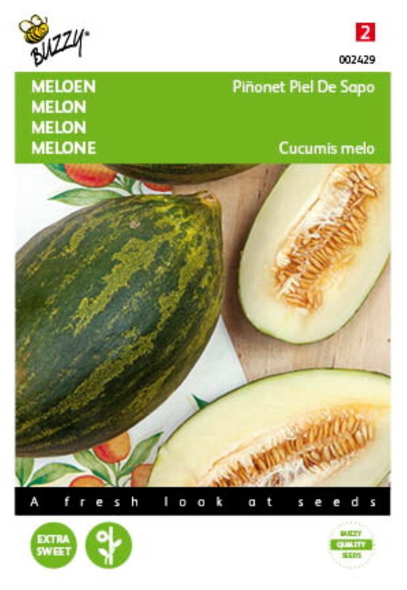 5 stuks - Meloenen Pinonet piel de sapo Tuinplus - Buzzy - 