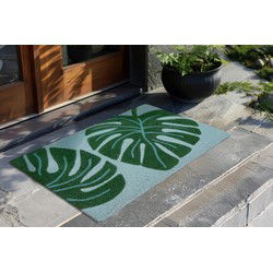 Bilbao Home - Deurmat - Droogloopmat – Groen - 100% Kokosvezel / PVC Rug- 40x60 CM