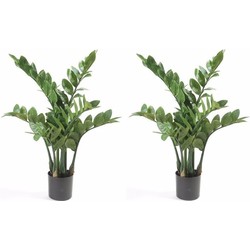 2x Zamioculcas kunstpalmen 70 cm - Kunstplanten