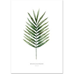 Poster 'Palm Leaf' A3