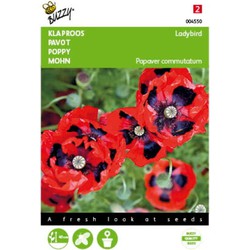 5 stuks - Papaver commutatum Lady Bird Tuinplus