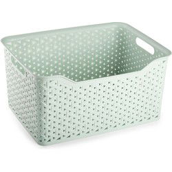 Plasticforte opbergmand/kastmandje - 18 liter - mintgroen - kunststof - 29 x 39 x 19 cm - Opbergmanden
