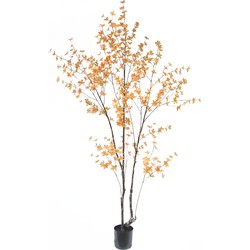 Greenmoods Enkianthus - Klokjesstruik - Kunstplant - 1 Stuk - 240cm - Peach