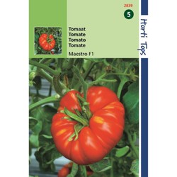 2 stuks - Tomaten Beefmaster F1