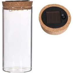 Ideas4seasons Pot/vaas van glas voor planten ecosysteem - deksel met LED verlichting - D8 x H16 cm - Vazen
