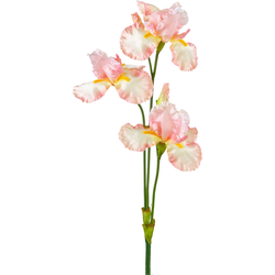 Hoyz Greenery - Kunstbloem Iris 102 cm licht roze