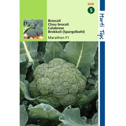 2 stuks - Broccoli Marathon V H Premium Crop F1