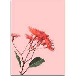 Rode bloemen poster - Bloemstillevens - Rood  - A4 poster (21x29,7cm)
