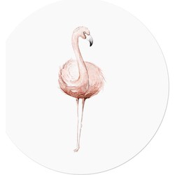 Muurcirkel Afrikaanse Dieren Flamingo 1