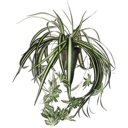 Mica Decorations chlorophytum groen in pot stan grijs d11,5 - 45x45