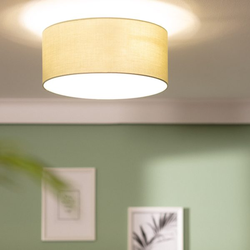 Bussandri - Minimalistische Plafondlamp - Metaal - E27 - 40cm - Groen