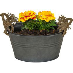 Mega Collections teil/plantenpot Old Rope - zink - antraciet - D26 X H12.5 cm - IJzeren emmer / teil