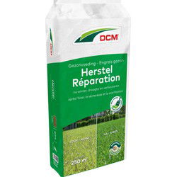 Gazonvoeding Herstel 10 kg