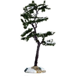 Marcescent tree, small