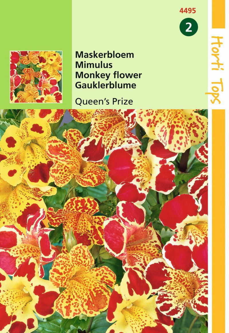 2 stuks - Mimulus Cupr. Queen s Prize - 