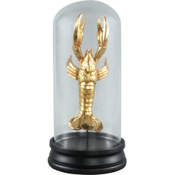 Lobster Gold - 14.0 x 14.0 x 30.5 cm