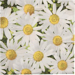 Clayre & Eef Servetten Papier Set van 20 33x33 cm Wit Geel Bloemen