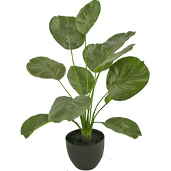 Kunst Calathea 58 cm groen in sierpot zwart