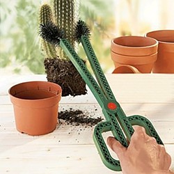 Pincet voor cactus