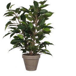 Mica Decorations Ficus Natasja Kunstplant in Bloempot Stan - H40 x Ø30 cm - Groen