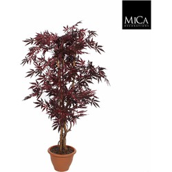 Mica Decorations japanse esdoorn maat in cm: 150 x 80 rood in pot