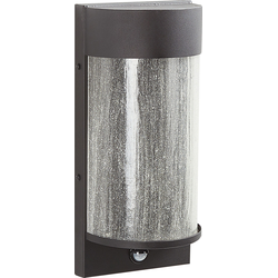 Beliani PHEPPIE - Tuin LED wandlamp-Zwart-Glas