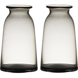 Set van 2x stuks grijze glazen bloemen vaas/vazen 23.5 x 12.5 cm transparant - Vazen