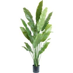 Hoyz Greenery - Kunstplant Strelitzia Nicolai 195 cm