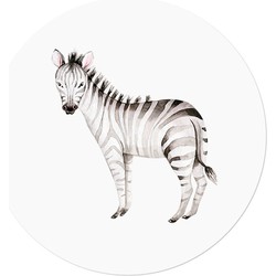 Muurcirkel Afrikaanse Dieren Zebra