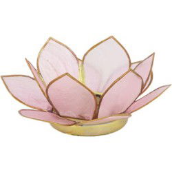 Tealight holder capiz nature diameter 12 x 4 cm