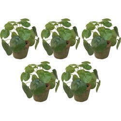 Emerald Kunstplant pilea/pannekoekplant - 5x - groen - in pot - 13 cm - Kunstplanten