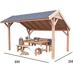 Kapschuur Landleven 800 x 300 cm incl dakbedekking