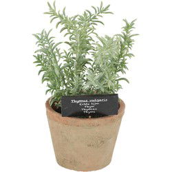 Esschert Design Kunstplant/kruiden tijm - terracotta pot - 21 cm - Kunstplanten