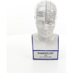A PORCELAIN PRENOLOGY HEAD